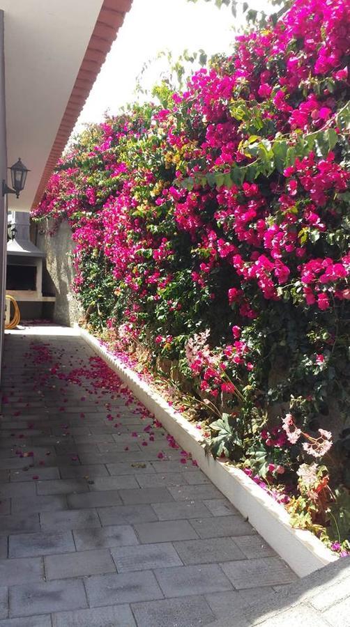 Paraiso Das Flores Estreito Da Calheta Eksteriør bilde
