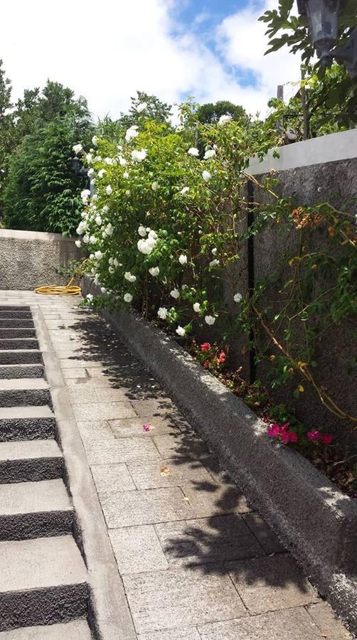Paraiso Das Flores Estreito Da Calheta Eksteriør bilde